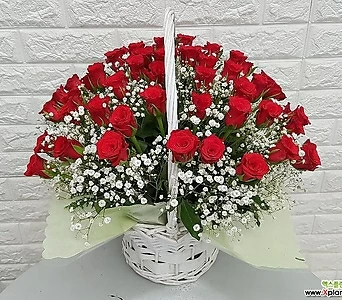 빨강장미 50송이 꽃바구니 - 축하선물 1