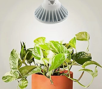 장마대비 식물생장 전용 LED전구 1