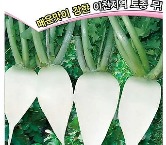 (아시아종묘/무씨앗종자) 게걸무(300립) 가을무 토종무 1