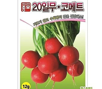 아시아종묘 적환무씨앗 20일무 적환무(12g)-방울무 1