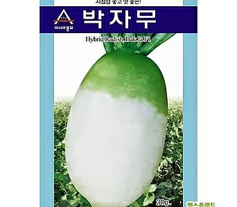 아시아종묘 무씨앗종자 박자무(2000립) 1