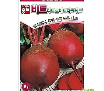 아시아종묘/비트종자씨앗 디트로이트다크레드 비트(5g) 1