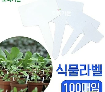 [조이가든]T자형 식물라벨(100매) 다육이 이름 표식 식물 이름 1