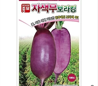아시아종묘/무씨앗종자 보라킹 (1만립) 1