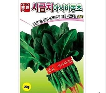 아시아종묘/시금치종자씨앗 아시아동초 시금치(400g)  월동시금치 1