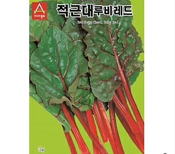 아시아종묘/근대씨앗종자 적근대 루비레드(300g) 1
