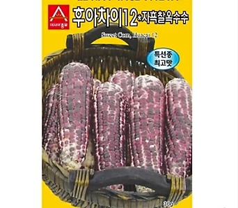 (아시아종묘/옥수수종자种子)자흑찰옥수수(30g)  1