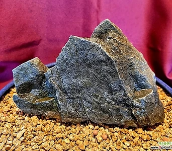 석부작용 자연석 (14×20cm) 1