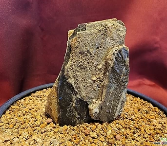 산수경석 (13×17cm) 1
