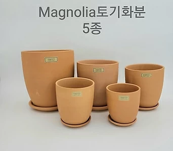 Magnolia토기화분5종 1