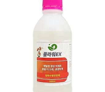 절화보존 꽃 수명 연장을 위한 영양제 절화수명연장 플라워EX 300ml 1