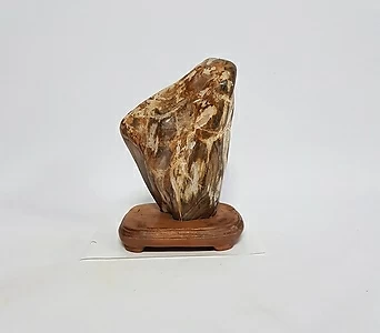 [신비의 돌] 나무 화석의 전설 (85번) 애완돌 키우기 1