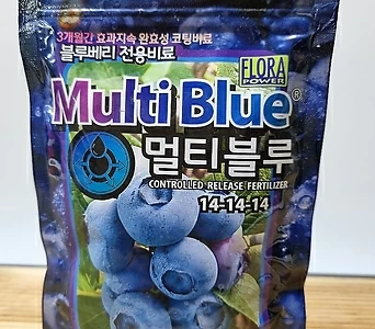 블루베리 영양제 1