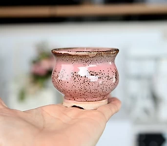작가도예 미니 콩분 색동이(6-핑크) - 원형 다육 예쁜 도자기 잎꽂이 분재 인아트스튜디오 1
