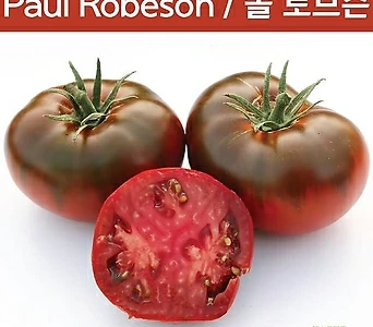 Paul Robeson 폴 로브슨 토마토 달콤한 희귀토마토 교육용 체험용 세트 1