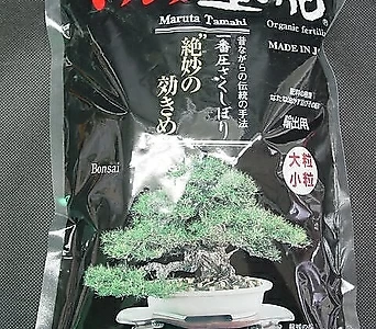 옥비-대립1kg-꿈의식물영양제-200년전통그대로-일본황궁사용품 1