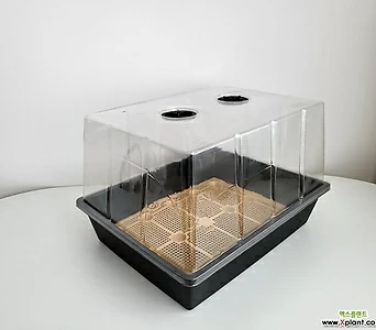 투명 온실 박스 관수 모종재배 보온 보습 저면관수 1