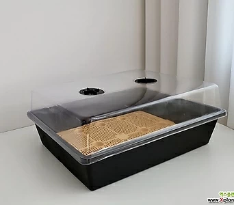 투명 온실 박스 낮은형 관수 모종재배 보온 보습 저면관수 1