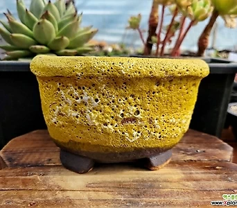 Handmade Flower pot [18cm x 11cm] 1580 1