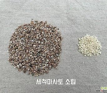 세척마사토 소립 1.3kg 3.3kg 6.7kg 마사토 세척마사토 원예용품 다육이흙 모래 다육이마사토 1