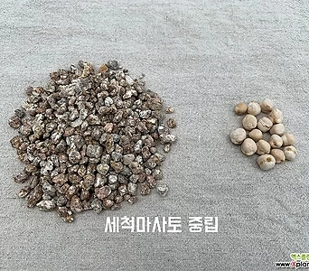 세척마사토 중립 1.3kg 3.3kg 6.7kg 마사토 세척마사토 원예용품 다육이흙 모래 다육이마사토 1
