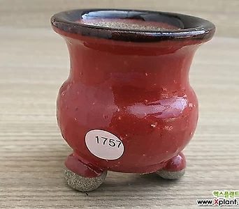 콩분 1757 1