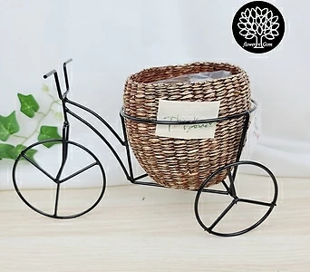 자전거바구니(소), 포트10cm용, 식물용인테리어바구니 1