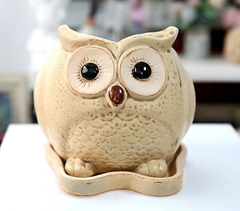 대형 부자 부엉이(옐로우) 다육 예쁜 Vienam owl 1