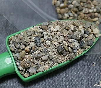 철이다육 깨끗한 강모래 소립 1kg 강마사 복토 장식돌 부드러운원석 리톱스흙 코노흙 배합흙 1