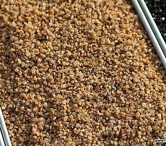 모래네 황금사 1kg 복토 화장토 예쁜돌 꾸밈돌 자연석 1