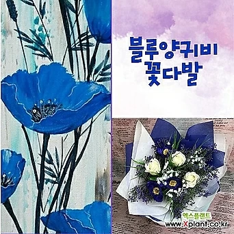 [생화처럼] 블루양귀비 졸업식꽃다발비누꽃 생화같은조화 시들지않는꽃 프로포즈 1