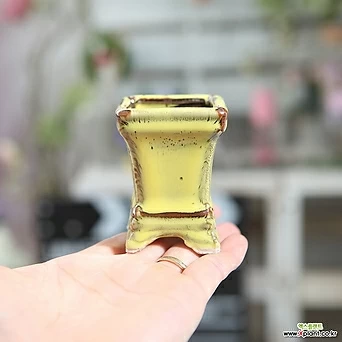 미니화분 에펠탑 다육화분(옐로우) 예쁜 사각 잎꽂이 귀여운 콩분 1