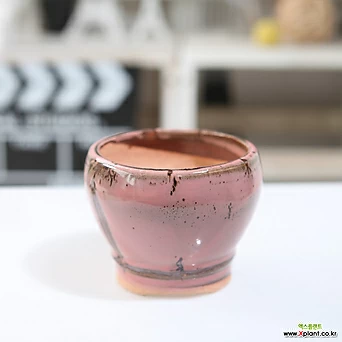 소소형 허리잘룩 단지 색동 다육화분(핑크) 잎꽂이 귀여운 예쁜 1
