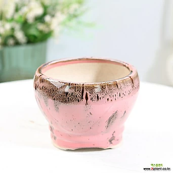 소형 허리잘룩 단지 색동 다육화분(핑크) 잎꽂이 귀여운 예쁜 1