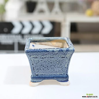 소형 컬러 정사각 다육화분(블루) 잎꽂이 귀여운 예쁜 사각 유광 1