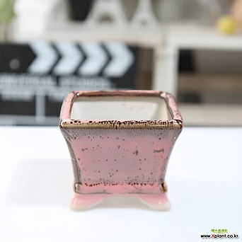 소형 컬러 정사각 다육화분(핑크) 잎꽂이 귀여운 예쁜 사각 유광 1