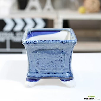중소형 컬러 정사각 다육화분(블루) 잎꽂이 귀여운 예쁜 사각 유광 1