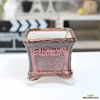 중소형 컬러 정사각 다육화분(핑크) 잎꽂이 귀여운 예쁜 사각 유광 1