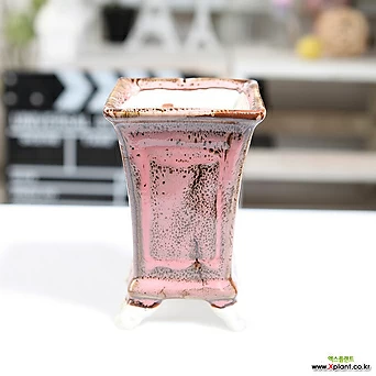 중소형 컬러 에펠탑 다육화분(핑크) 잎꽂이 귀여운 예쁜 사각 유광 1