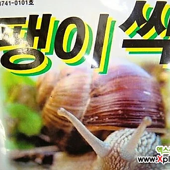 달팽이약-민달팽이유인 1