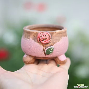 소형화분 장미장식 오월의 신부 낮은단지(핑크) 잎꽂이 귀여운 꽃 예쁜 잎꽂이 1