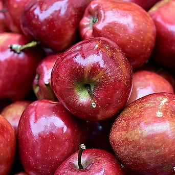 흠과 가정용 햇사과 사과 부사 빨간사과 산지직송 꿀사과 경북사과 5키로 엑스플랜트 엑플 1