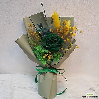 고귀한사랑 초록장미 로즈데이선물 프리저브드(29) 1