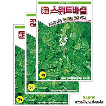 아시아종묘/허브씨앗종자 스위트 바실(3gx3) 1