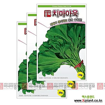 아시아종묘 채소씨앗 - 아욱씨앗 치마아욱(20gx3) 1