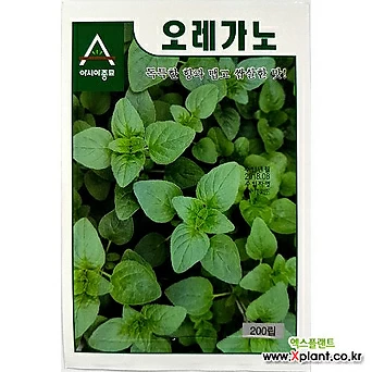 아시아종묘/허브씨앗종자 오레가노(10g) 1