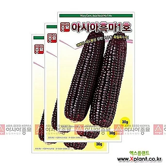 아시아종묘 채소씨앗 - 옥수수씨앗 흑마1호(30gx3) 1