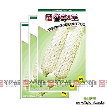 아시아종묘 채소씨앗 - 옥수수씨앗 찰옥4호(35gx3) 1