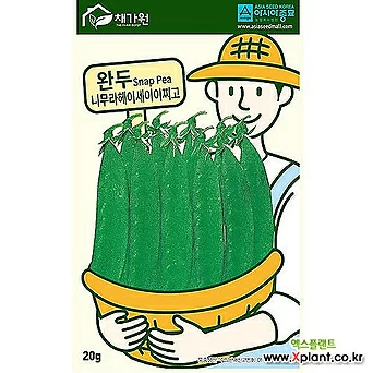 아시아종묘/콩씨앗종자 껍질째 먹는 완두콩 그린빈 - 니무라헤이세이이찌고(500g) 1
