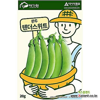 아시아종묘/콩씨앗종자 텐더스위트(20g) 완두콩 1